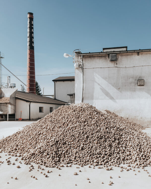 Chopin Potato 6,0l + kartonik - obrazek 6
