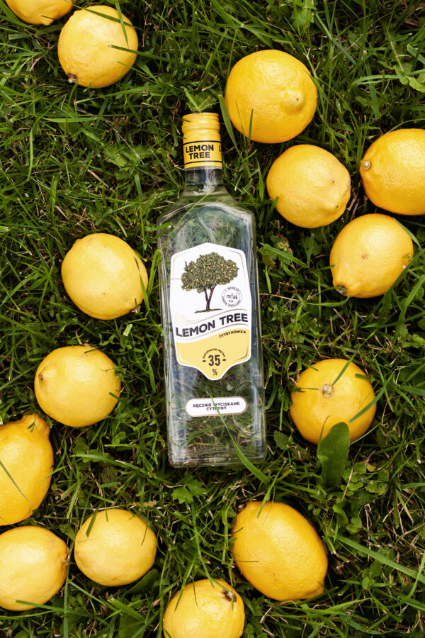 Lemon Tree - obrazek 6
